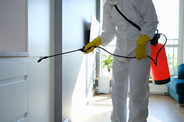 Mold Testing and Removal in Minneapolis, MN