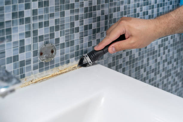 Best Black Mold Removal  in Minneapolis, MN